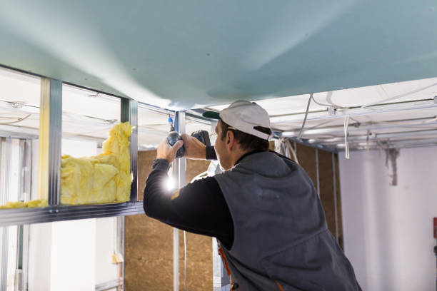 Best Insulation Maintenance and Repair in Limestone Creek, FL