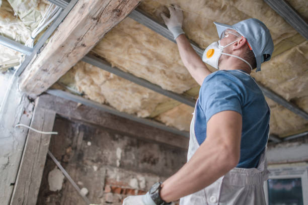 Best Residential Insulation in Limestone Creek, FL