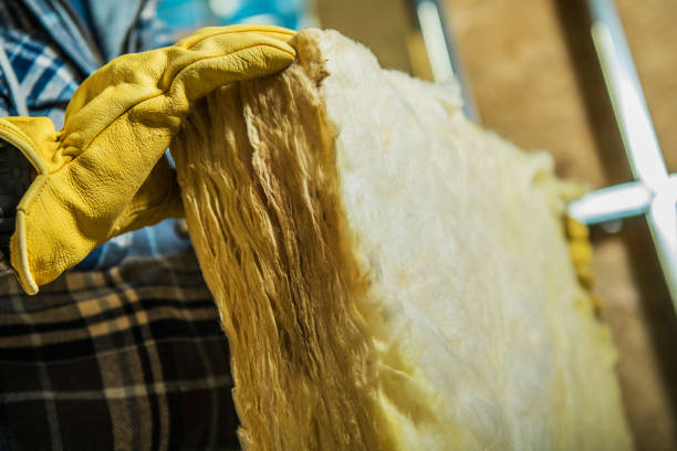 Best DIY Insulation Kits and Guidance in Limestone Creek, FL