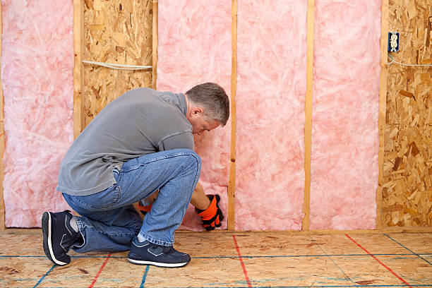 Best Commercial Insulation in Limestone Creek, FL