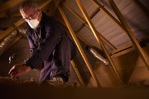 Best Cellulose Insulation in Limestone Creek, FL