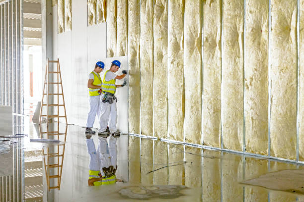 Best Specialized Insulation Services in Limestone Creek, FL